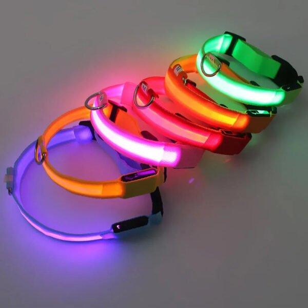 Collar Luz Led Para Perros Gatos Ajustable Con 3 Modos Pilas