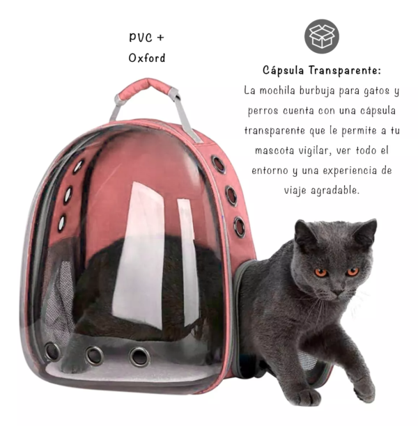 Mochila Bolso Transportador Para Mascotas