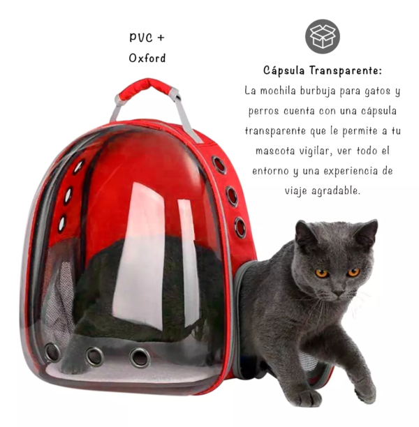 Mochila Bolso Transportador Para Mascotas