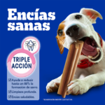 CUIDADO ORAL PEDIGREE® Dentastix Adulto Razas Pequeñas