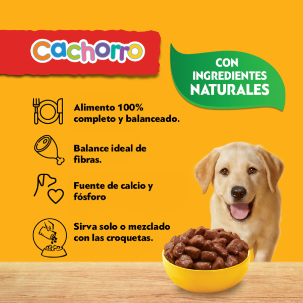 PEDIGREE® SOBRES™ Cachorro En Salsa Sabor Carne