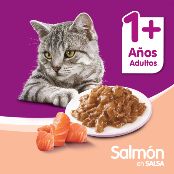 Whiskas Sobrecito Para Gatos Salmon en Salsa