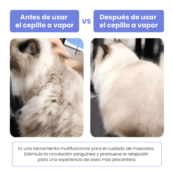 Cepillo 3 en 1 con vapor masajeador suave perro gato